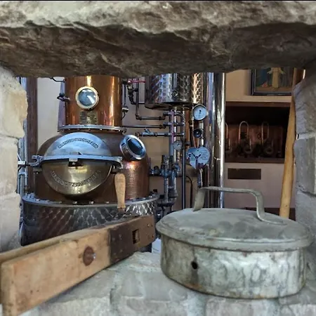 Brauereigasthof Dachsenfranz 3* Zuzenhausen