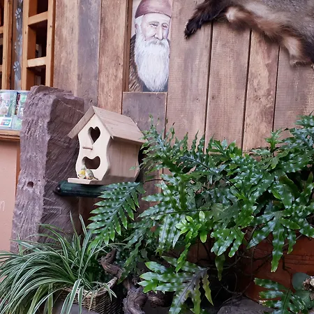 Hotel Brauereigasthof Dachsenfranz