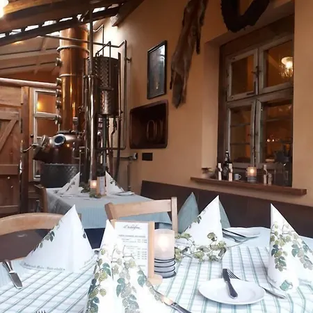 Hotel Brauereigasthof Dachsenfranz Zuzenhausen