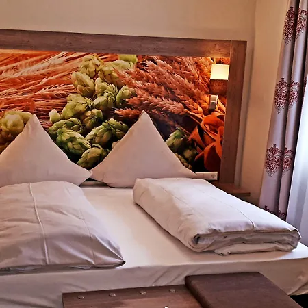 Hotel Brauereigasthof Dachsenfranz Zuzenhausen